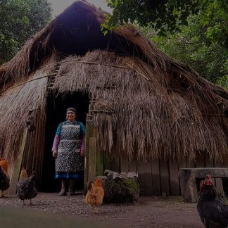 Ruta mapuche en Curarrehue